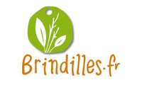 www.brindilles.fr